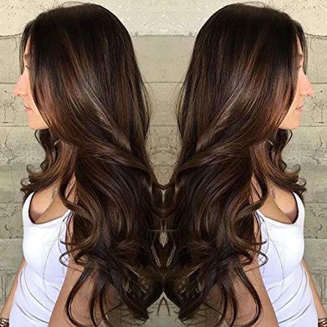 Long Natural Wave Brown Wigs Heat Resistant Wigs for Women